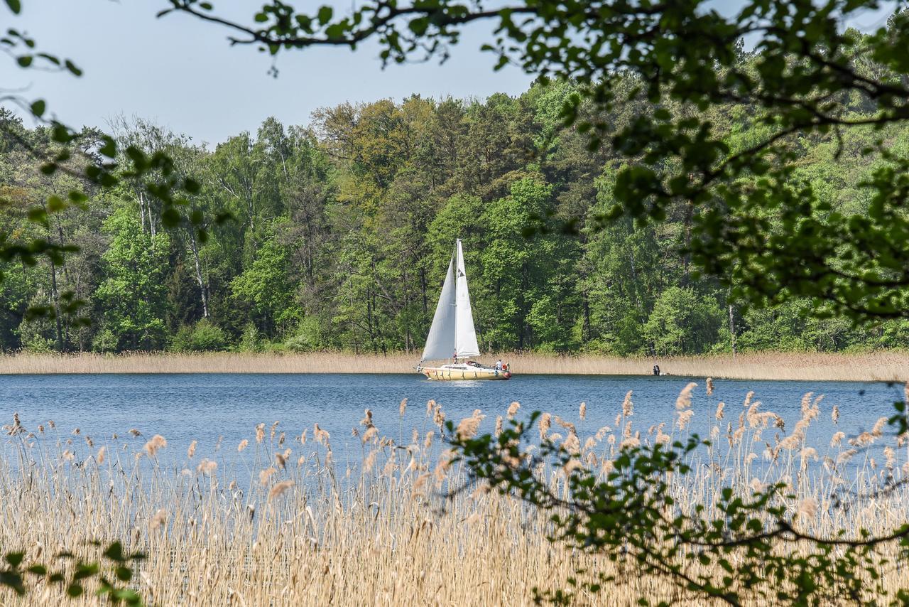 Medaus Apartamentai Trakai Eksteriør billede